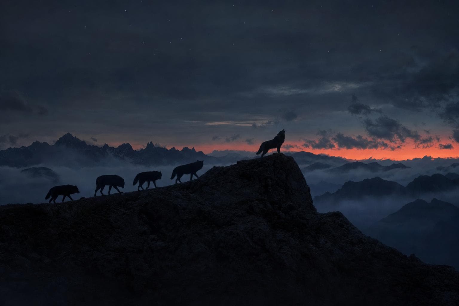 A wolf pack in silhouette climbing a misty ridgeline at dusk, the lead wolf howling from the highest rock